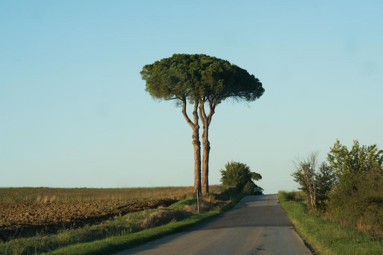 Villastrada  Agriturismo Palazzo Val Del Sassoヴィラ エクステリア 写真