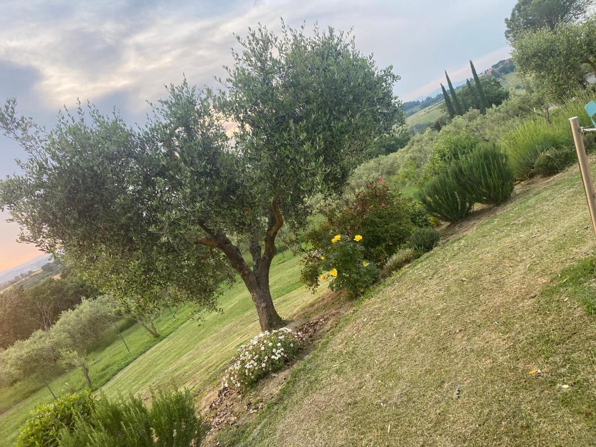 Agriturismo Palazzo Val Del Sasso Villastrada エクステリア 写真